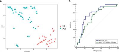 A Novel Approach Using FDG-PET/CT-Based Radiomics to Assess Tumor Immune Phenotypes in Patients With Non-Small Cell Lung Cancer